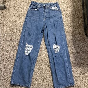 Highest Rise Baggy Jeans WILD FABLE 8/29